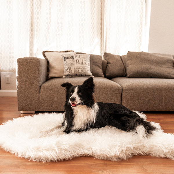 Faux fur dog bed cheap canada